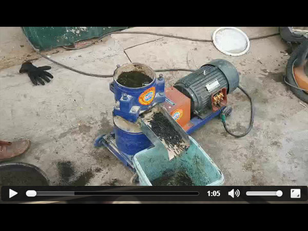 �V���w���Cҕ�l